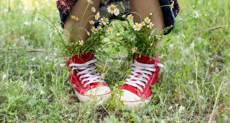 Δύο πόδια με κόκκινα sneakers μέσα σε ένα αγρό με λουλούδια