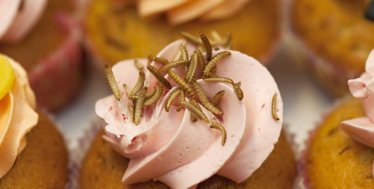 cupcake με ροζ frosting και έντομα