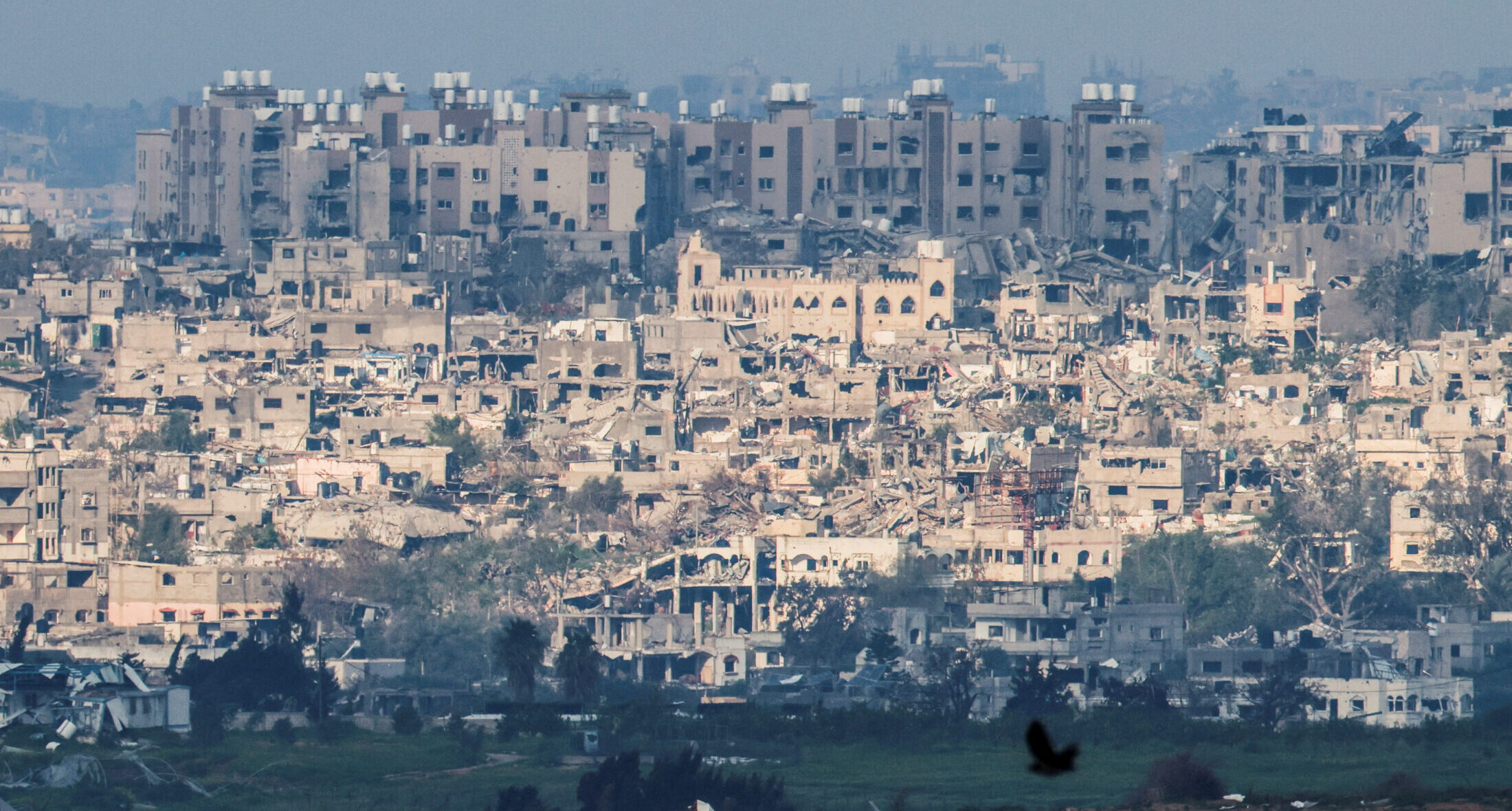 Ένα πουλί πετάει καθώς κατεστραμμένα κτήρια στέκονται ανάμεσα στα συντρίμμια στο κέντρο της Γάζας, εν μέσω της συνεχιζόμενης σύγκρουσης