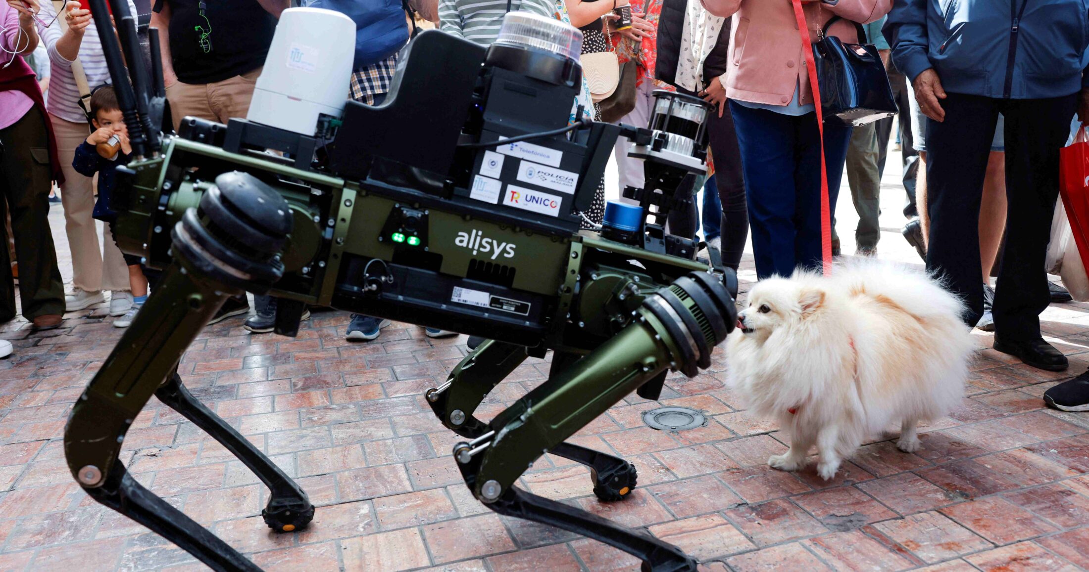 Μία σκυλίτσα με το όνομα Lucy μυρίζει τον νέο σκύλο-ρομπότ που παρουσιάστηκε στη Μάλαγα