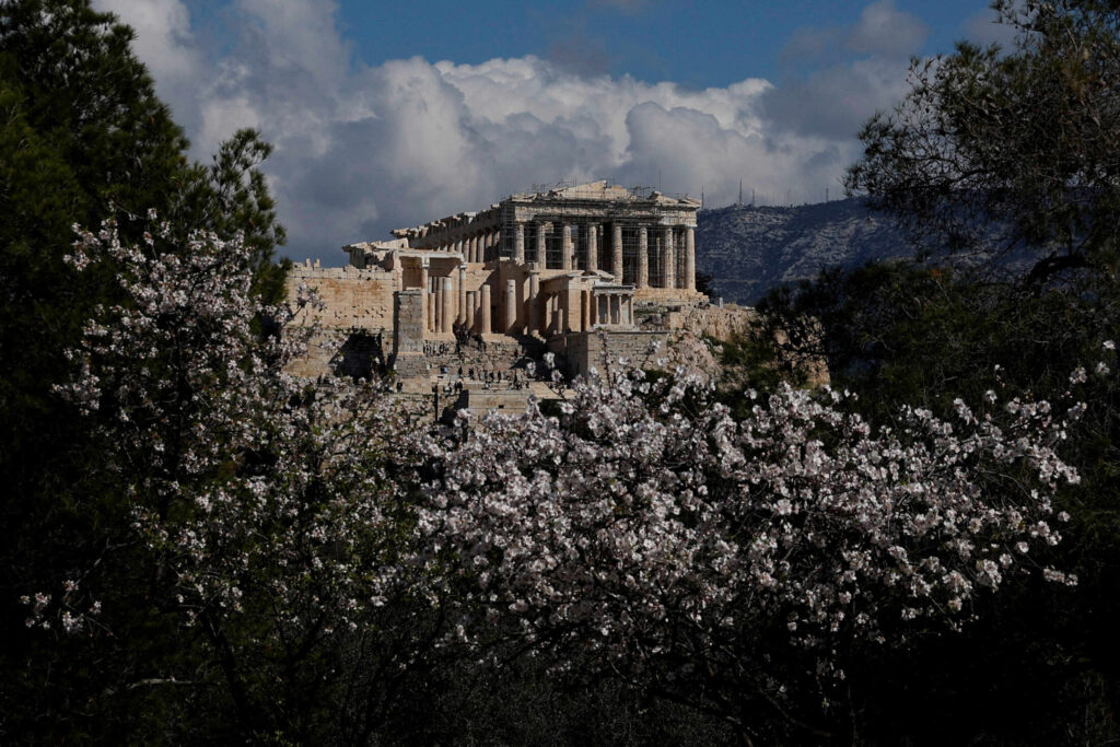 Η ζέστη κάνει τα δέντρα να ανθίζουν νωρίς κι αυτό προκαλεί προβλήματα και στις καλλιέργειες