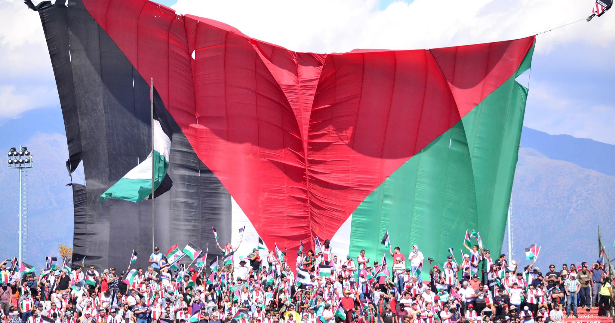 Palestino