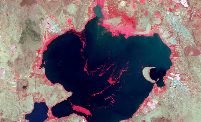 Lake_from_Space